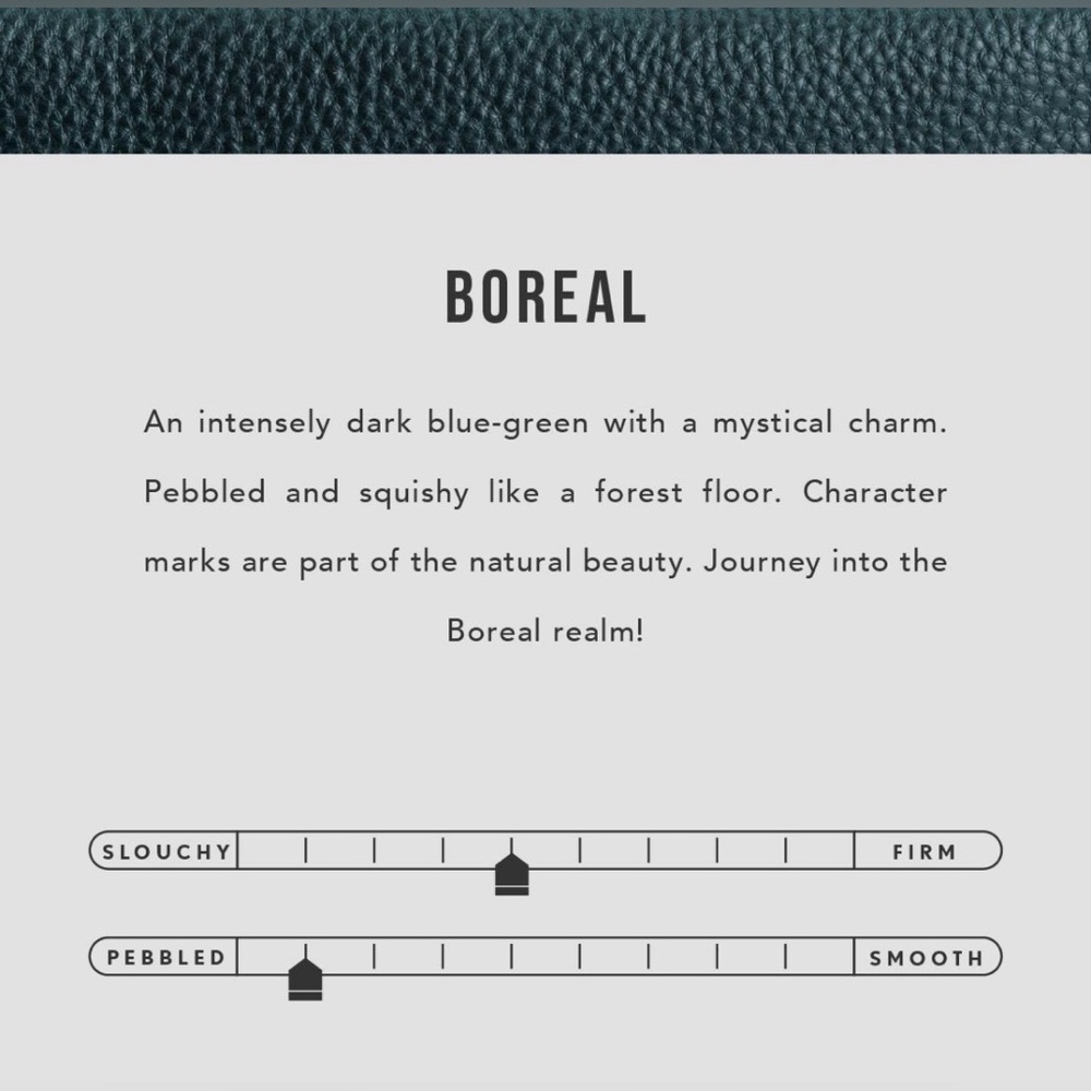 🆕 Portland Leather Goods LARGE Bucket Bag in BOREAL! 💚💙 - Picture 8 of 13